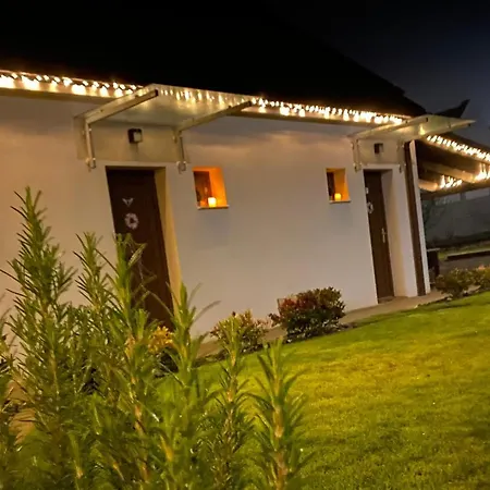 Oelyv Apartament