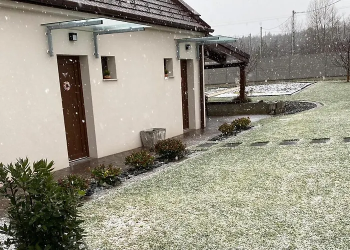 Oelyv * Fertőrákos